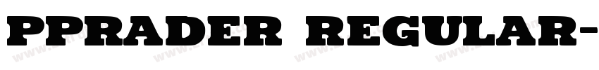 pprader regular字体转换